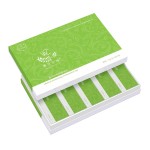 Medical gynecological bacteria blocking gel